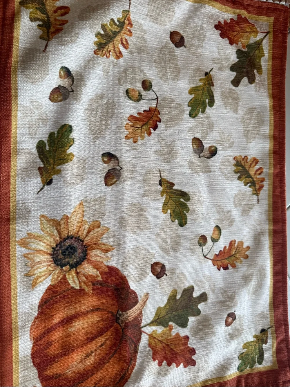 Nicole Miller Fall Pumpkin Placemats Set of 4